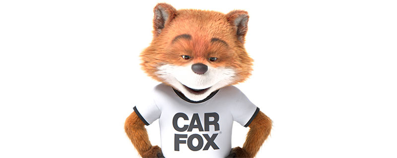 Car Fox looking down