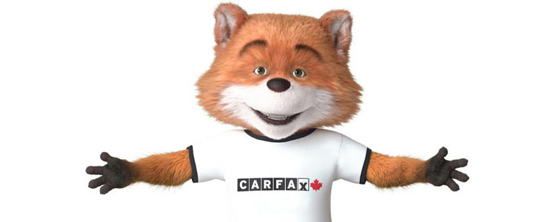 Car Fox avec les bras écartés