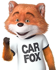 Car Fox pumping fist