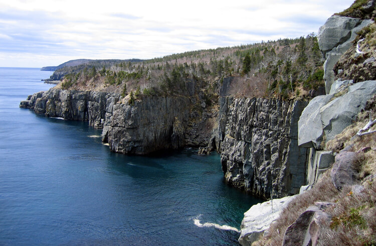 Newfoundland